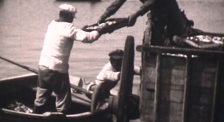 Rencontre avec la cinémathèque de Vendée