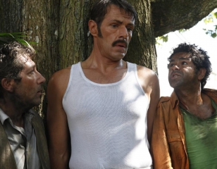 Sur la piste du marsupilami