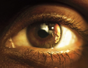 Au commencement était le regard