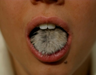 La Belle et la Bête