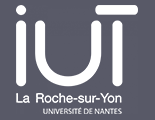 IUT La Roche